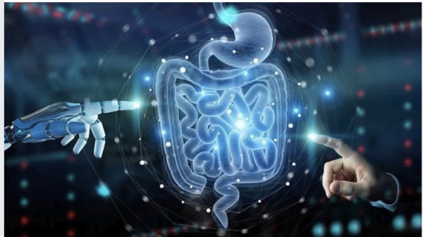 Probióticos: qué son, para qué se usan y cuándo hay que tomarlos